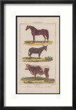 Cheval