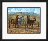 Appaloosa I