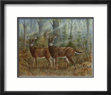 Deer Family II