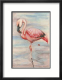 Pink Flamingo II