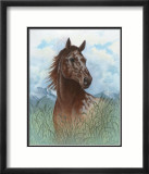 Appaloosa Portrait