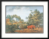 American Farm Scenes