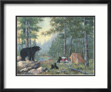 Bears' Campsite