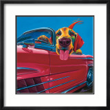 Dog About Town