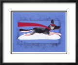 Super Shepherd