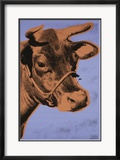 Cow  c1971 (Purple and Orange)