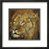Lion Portrait