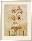 Gilded Cage I
