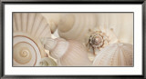Shells I