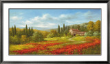 Tuscan Beauty II