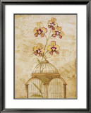 Gilded Cage I