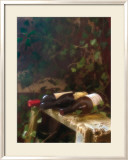 Wine Cellar I