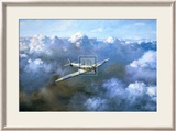 Flight of Freedom