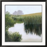 Morning Creekside