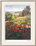 Fields of Italia I