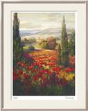 Fields of Italia II