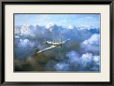 Flight of Freedom