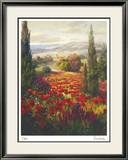 Fields of Italia II