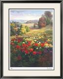 Fields of Italia I