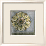 Rosette and Damask IV