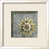 Rosette and Damask II