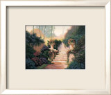 Sunlit Steps