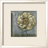 Rosette and Damask III