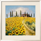 Sunflowers I