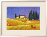 The Colours of Provence II