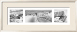 Beach Fences