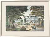 Summer Scene in the Country