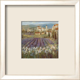 Provencal Village