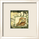 Shoreline Collage I