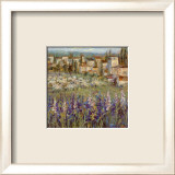Provencal Village II