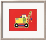 Cat in a Crane