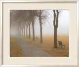 A Foggy Day