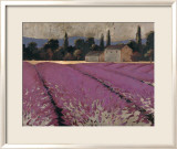 Lavender Days
