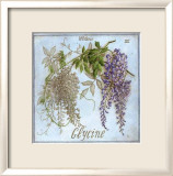 Glycine