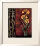 Yellow Iris