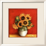Tournesol en Jarre