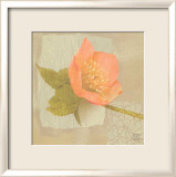 Hellebore I