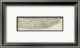 Composite Pictorial of St Louis  c1876