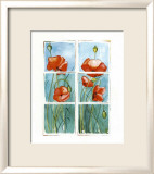 Poppies at the Window