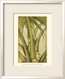 Graphic Palms IV