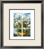 Daisies at the Window