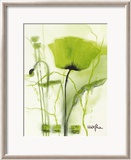 Coquelicot Vert II