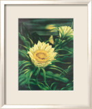 Blooming Cereus with Full Moon