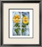 Sunflowers at the Window