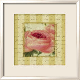 Rose and Romance I