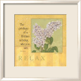 Relax  Lilac